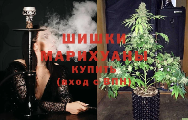 твердый Алзамай