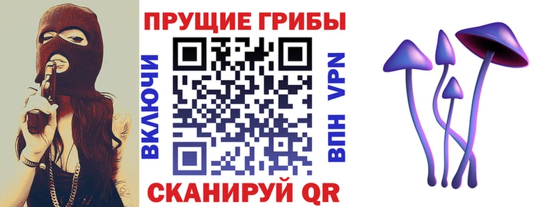 Галлюциногенные грибы MAGIC MUSHROOMS  сколько стоит  Зверево 
