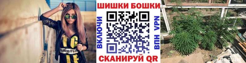 Каннабис OG Kush  Зверево 